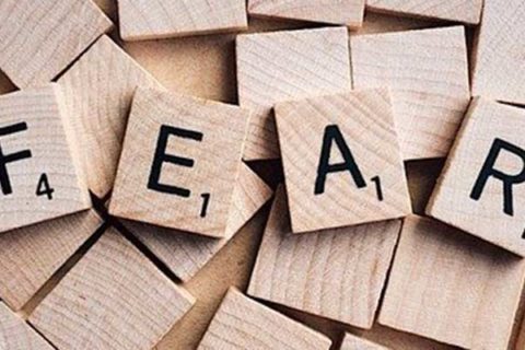 February 22, 2019 Reflections - Deb Donnell Author